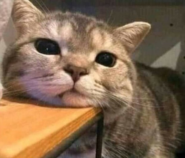 ellmichi's tweet image. Por un lado me gustas y por el otro me fascinas uwu