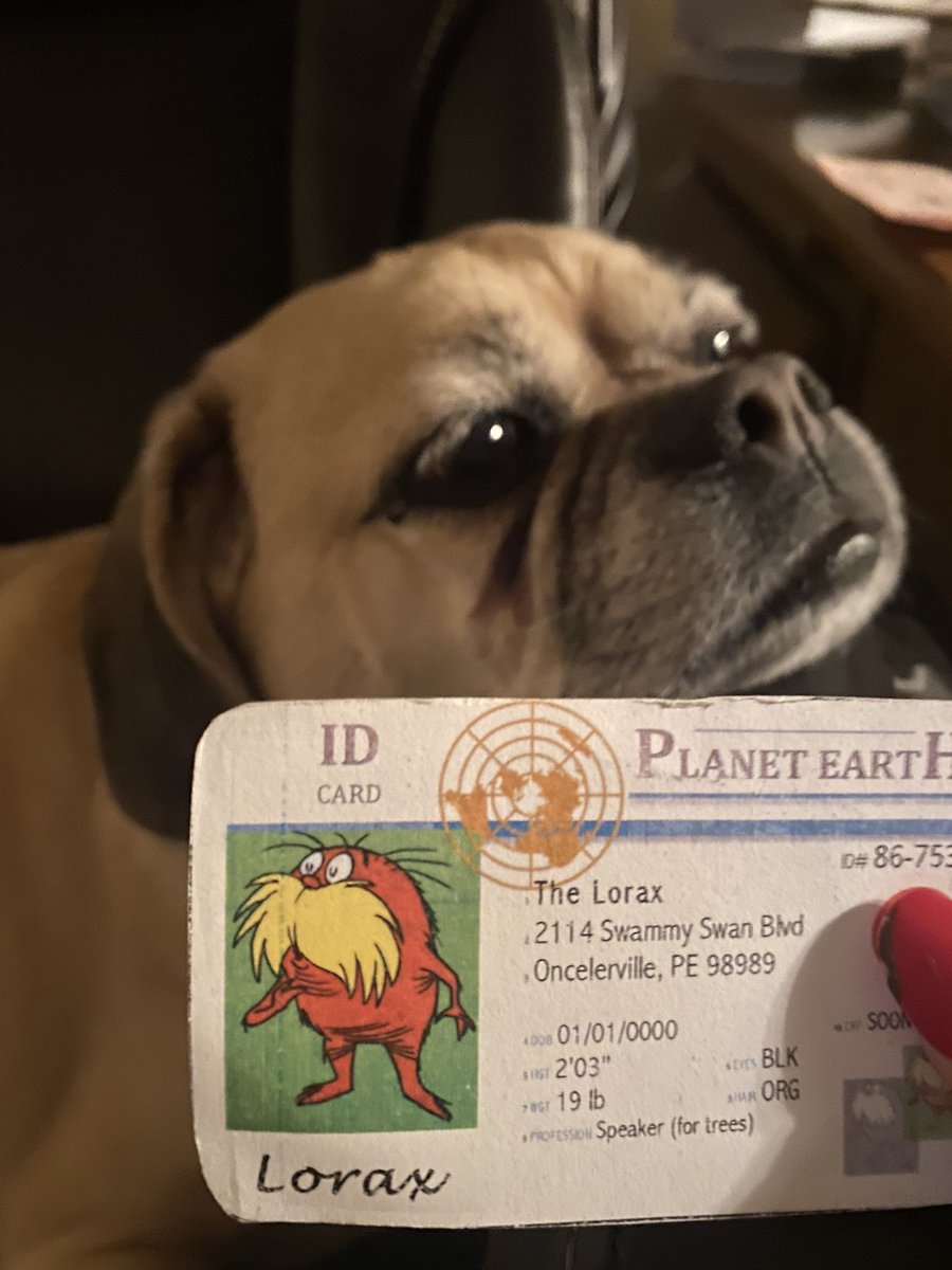 BriIwinskiLorax's tweet photo. This Is my dog ella. She’s a k strategist because she had 2 siblings, and stayed with her mom for a few weeks, she depends on her family. She needs specific care to survive. #apesecology @franklinlorax https://t.co/lQn766EfWu