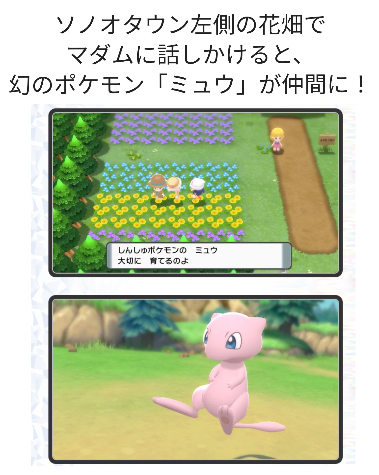 アルセウス Arceus さらにさらに ポケモンソード シールド を遊んだことがある方には 幻のポケモン ジラーチ ポケモンlet S Go ピカチュウ Let S Go イーブイ を遊んだことがある方には 幻のポケモン ミュウ が ゲーム内でそれぞれ受け取る