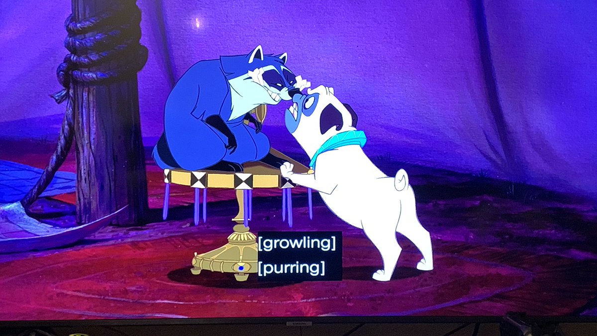 ryderkemerson's tweet photo. So are you the Meeko or the Percy in your relationship? 🤣 #imthemeeko #accordingtome😅 #pocahontasrewatch https://t.co/wzCuDmPbnA