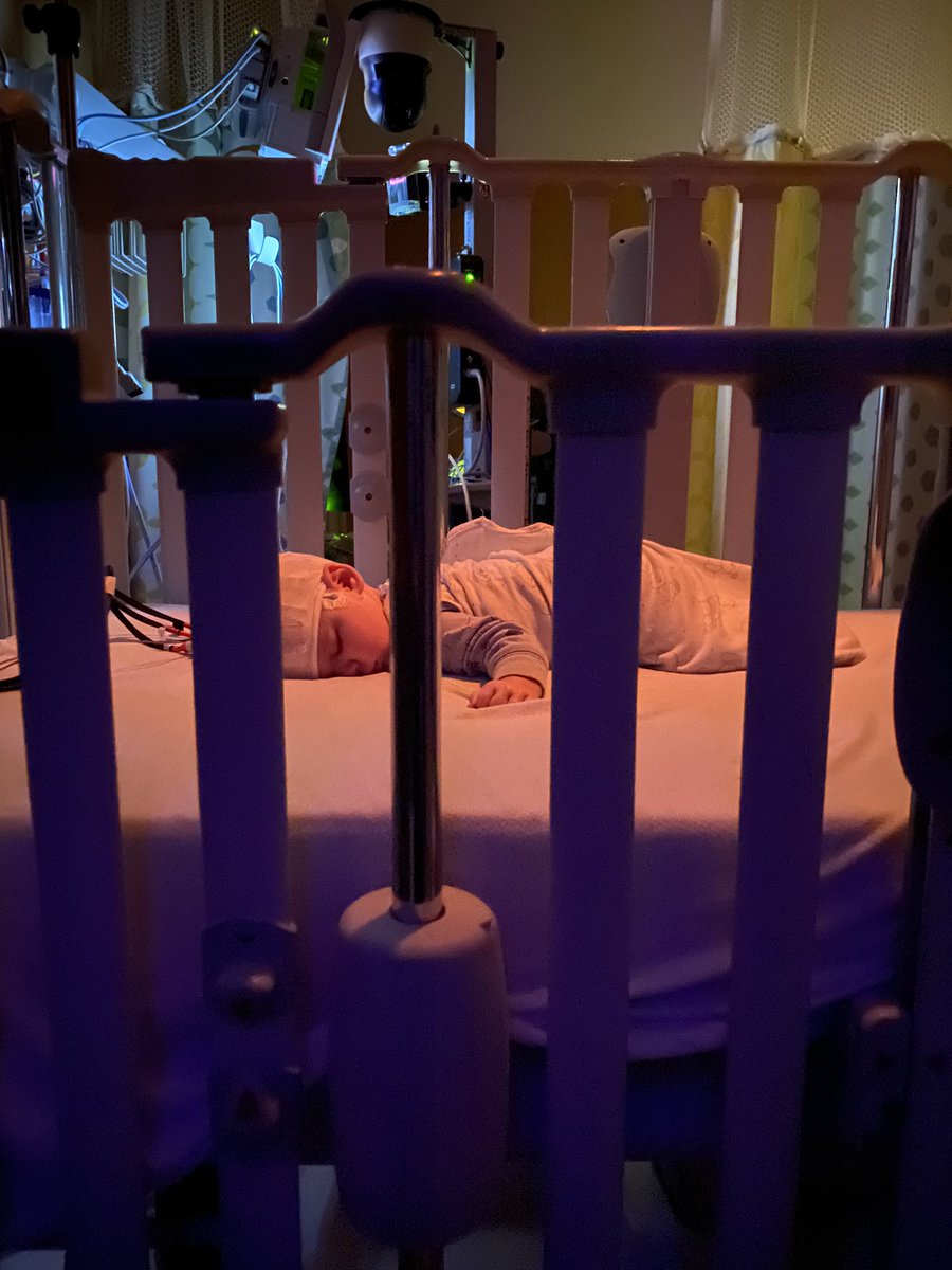 Carbo107 tweet media