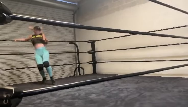 FayeTheRedOmega's tweet image. Bit of late hour training.