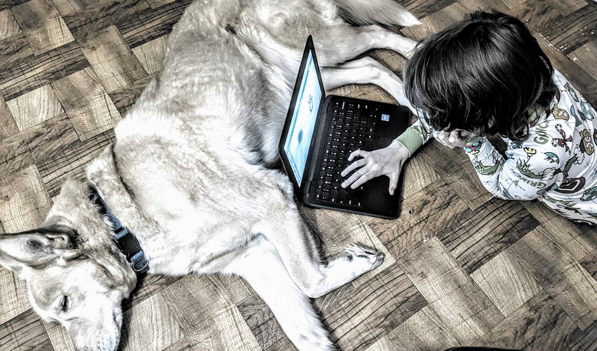 CyberLibrary's tweet image. My 10 year old grandson asked me to share a pic of him coding. He said he wished it would help &quot;inspire everyone to try a bit of coding&quot;. His school doesn&apos;t offer coding. His Gma does❤️💻👍💯 #HourofCode2021 @hadip