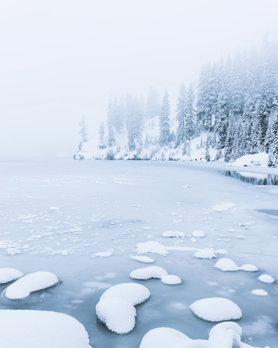 ShonPurdy's tweet image. ’Twas a frosty morning ❄️