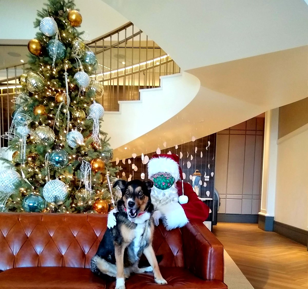 This weekend, December 18th from 12-3pm, is your last chance to meet Santa!🎅🎄 Everyone will be able to get a photo to take home with them❤️ We will have complimentary coffee, tea, and hot chocolate available (you can make your hot chocolate boozy for an additional charge ☕)