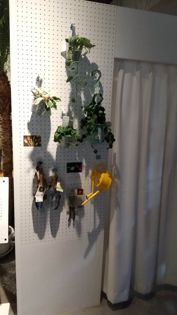 wexthuset_japan's tweet photo. 来週末はクリスマスですね。みなさんご準備はお済みですか？私は先日渋谷のロフトでツリーとオーナメントなどの飾りを買ってきました。クリスマスムードの渋谷のロフトですが、その一角に弊社の商品もおいていただいております。渋谷ロフトでのお買い物の際にはぜひお寄りください。 https://t.co/9Vbw96HfLu