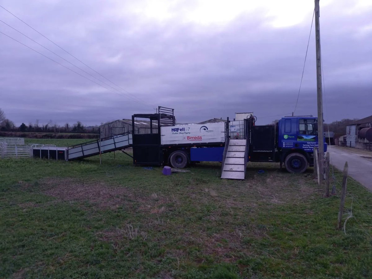 SynergyFarmVets's tweet photo. This time yesterday, Vet Tech Andrew Cooke, was set up with the mobile plunge dipping lorry, ready to start dipping 1,200 ewes. @NeilFell2
#TeamSheep #mobilesheepdipping #VetTechServices #Bimeda https://t.co/KtKUwW3DdP