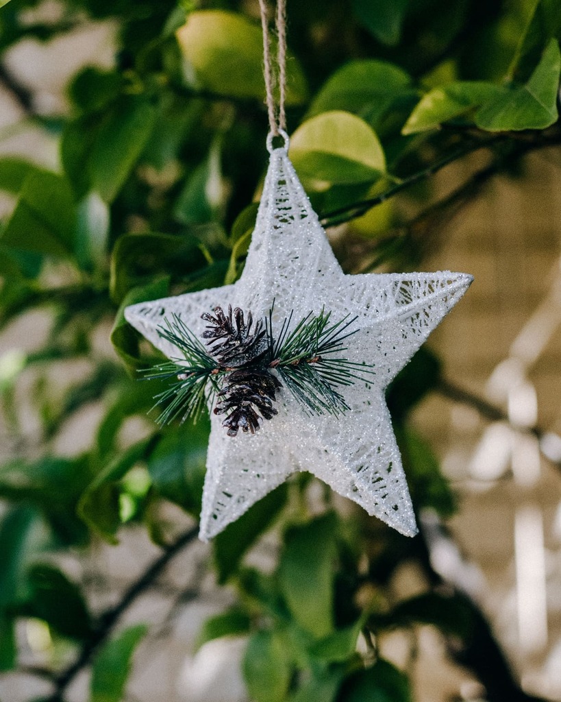 SimpleChapters_'s tweet photo. "The best way to spread Christmas cheer is singing loud for all to hear." — Buddy from the movie Elf 🎄🌟 ⁣
⁣
It's only 10 more days to Christmas! Are you ready for the big day? I've just started wrapping Christmas presents and my children are counting… https://t.co/YUFEggNGaw https://t.co/tm5ZcfNear
