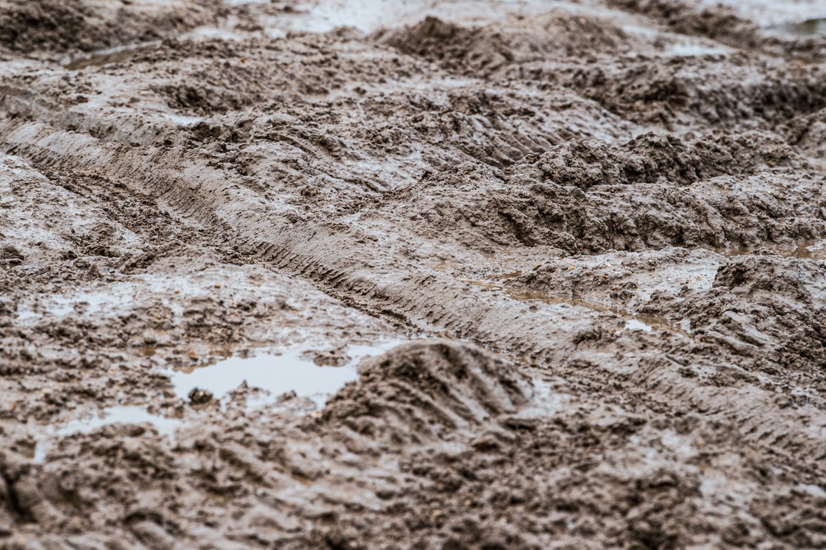 Extreme E & H tweet media