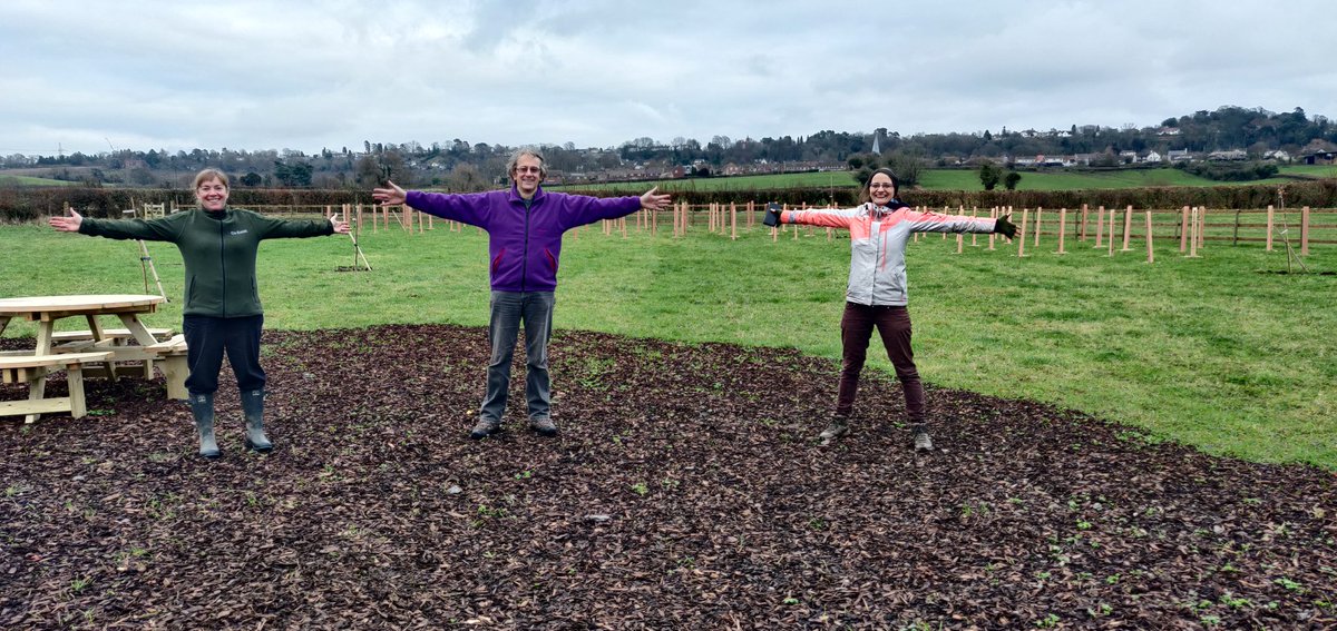 Mark Young tweet media