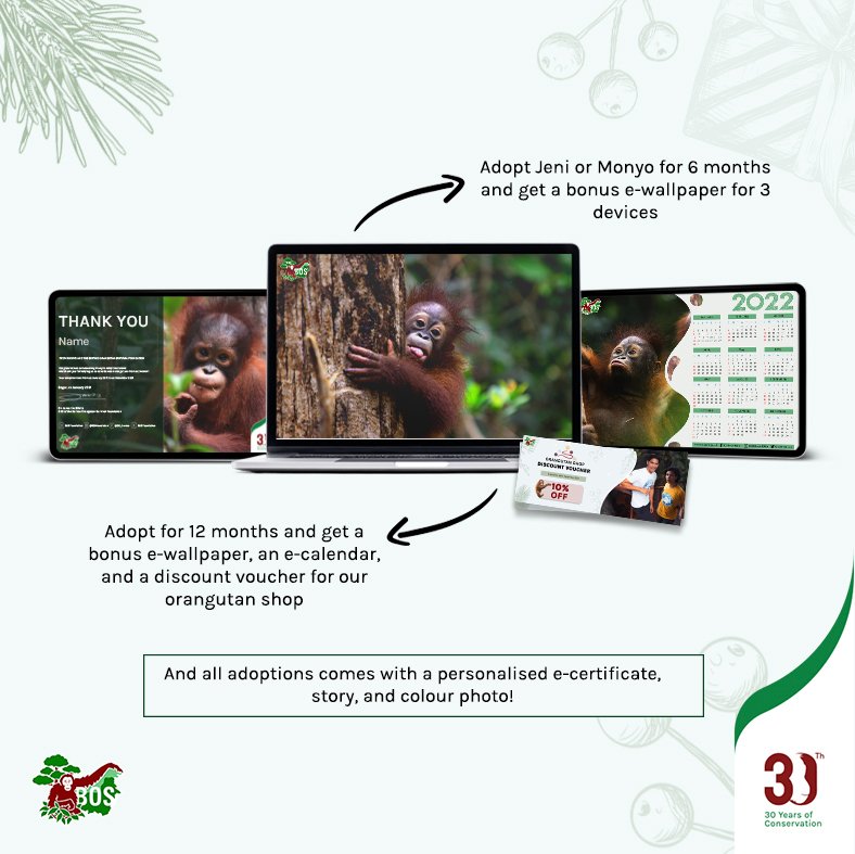 bornean_OU's tweet photo. We have some surprises in store too when you adopt Jeni or Monyo this December. Click the link https://t.co/LoAMdvaElR for detailed information. Let’s welcome Christmas together with endless love. https://t.co/8kOTpvcVFY