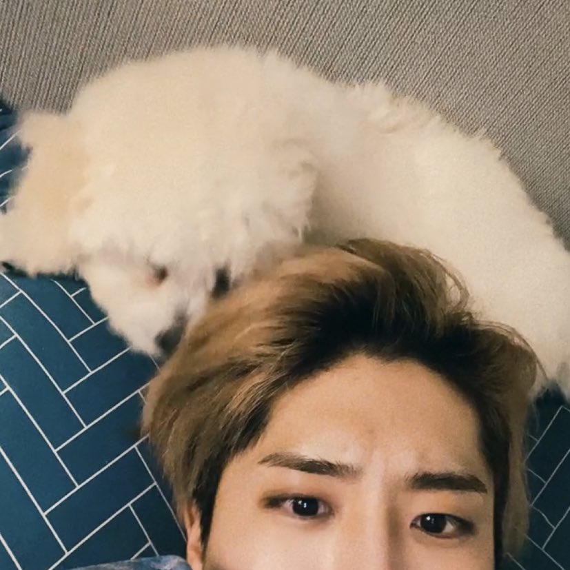 FGt51l_VQAUUFSJ?format=jpg&name=900x900