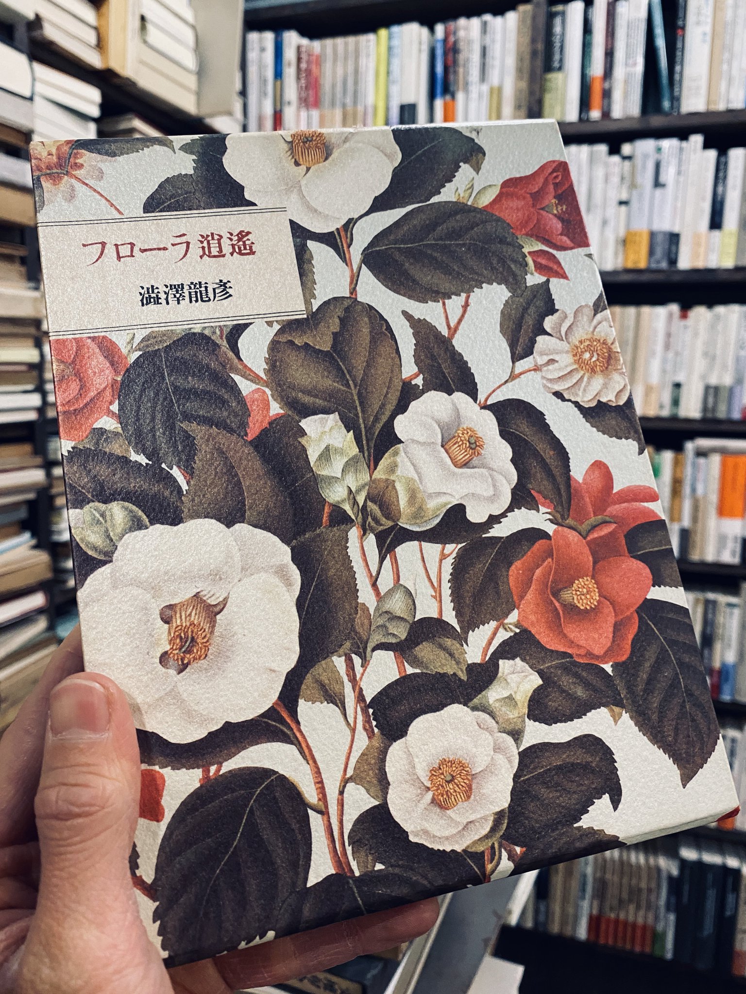 りんてん舎｜詩 短歌 俳句の古本屋 على X: 