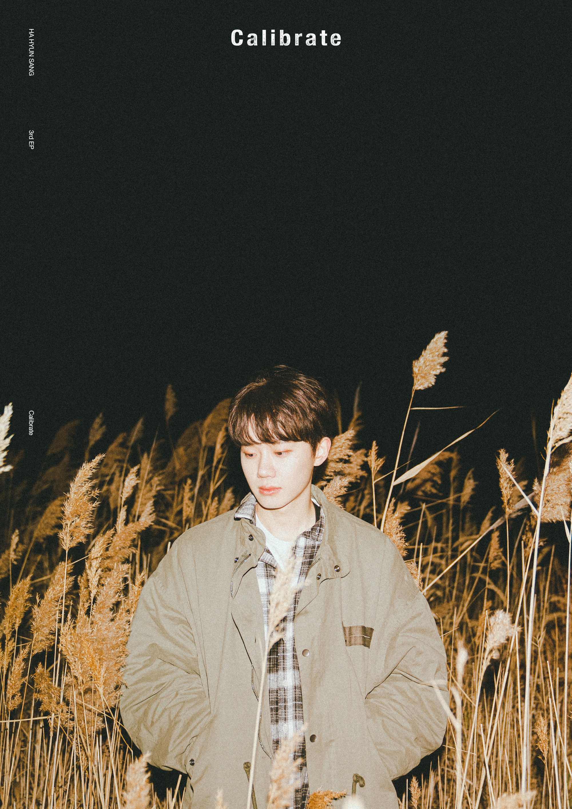 ハヒョンサン hahyunsang 하현상 calibrate LPレコード GD00080328.default.1.t1.jpg