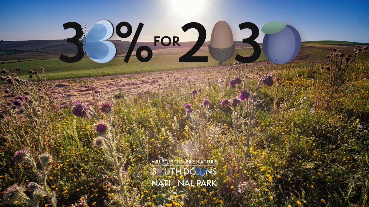 sdnpa's tweet photo. Could you answer the call for nature?
As part of our ten-year, £100m #ReNature campaign, we're looking for nature recovery sites where new wildlife habitat can be created.
Find out more >> https://t.co/uPYwx1w6Hn
#NetZeroWithNature #NetZero #NatureRecovery https://t.co/BVasJRoZtd