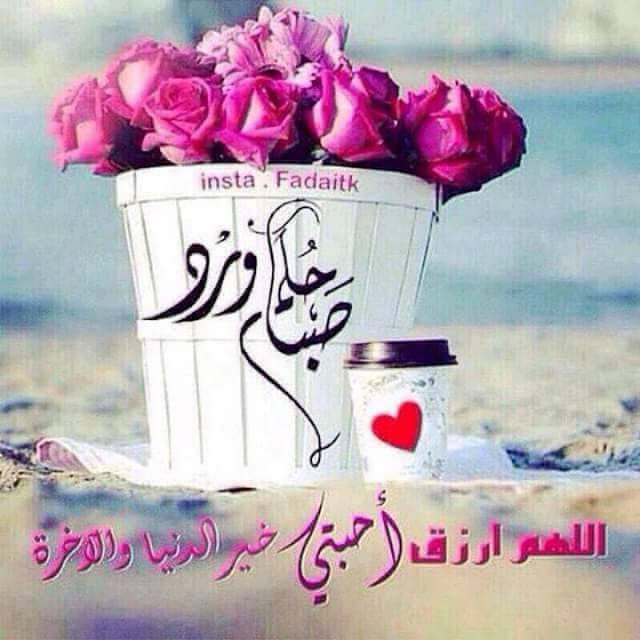 eslam1151994's tweet photo. https://t.co/nI8rZvXkh8