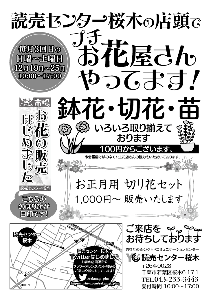 تويتر 読売センター桜木 على تويتر 12月19日 25日の間 読売センター桜木店頭にて プチお花屋さんをやってます お正月用 切り花も1000円 販売いたします 本年最後となりますので お気軽にお立ち寄りください T Co 7h2ogelzag
