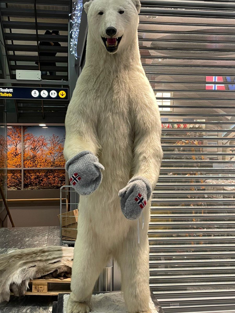 In Norway, it’s so cold that even the polar bears need mittens 🇳🇴
