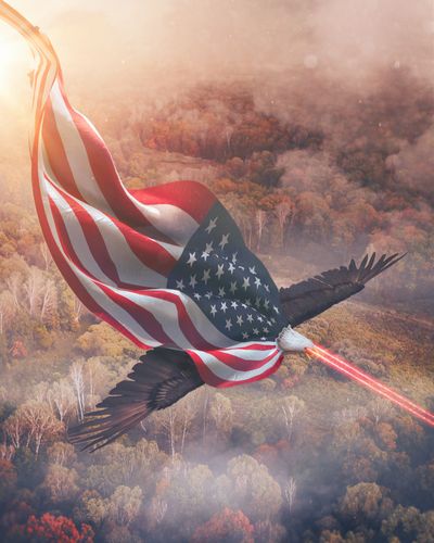 crypto_lucio's tweet image. Collected: 🥰 @athinlinebtween 
Looking forward to your next drop! 

Lasered Eyed Eagle carrying a US Flag.  🦾💎

#NFTcollection #NFTs #art #artist #cryptocurrency
