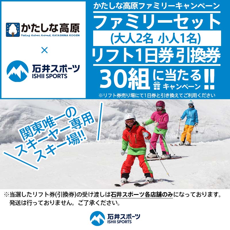 超爆安 スキー場 大人２枚 長野県全スキー場共通リフト1日券 大人2名