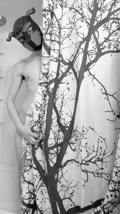 2 pic. Pup is not very good at hiding the bits... ? 
#gaypup #humanpet #nsfw #gay #gayshower #showercock
