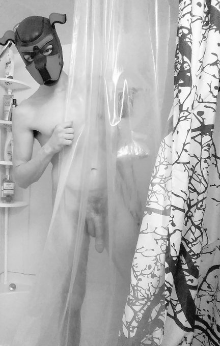 3 pic. Pup is not very good at hiding the bits... ? 
#gaypup #humanpet #nsfw #gay #gayshower #showercock