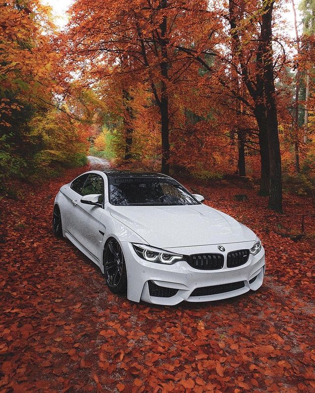 BMW (@photobmw) on Twitter photo 