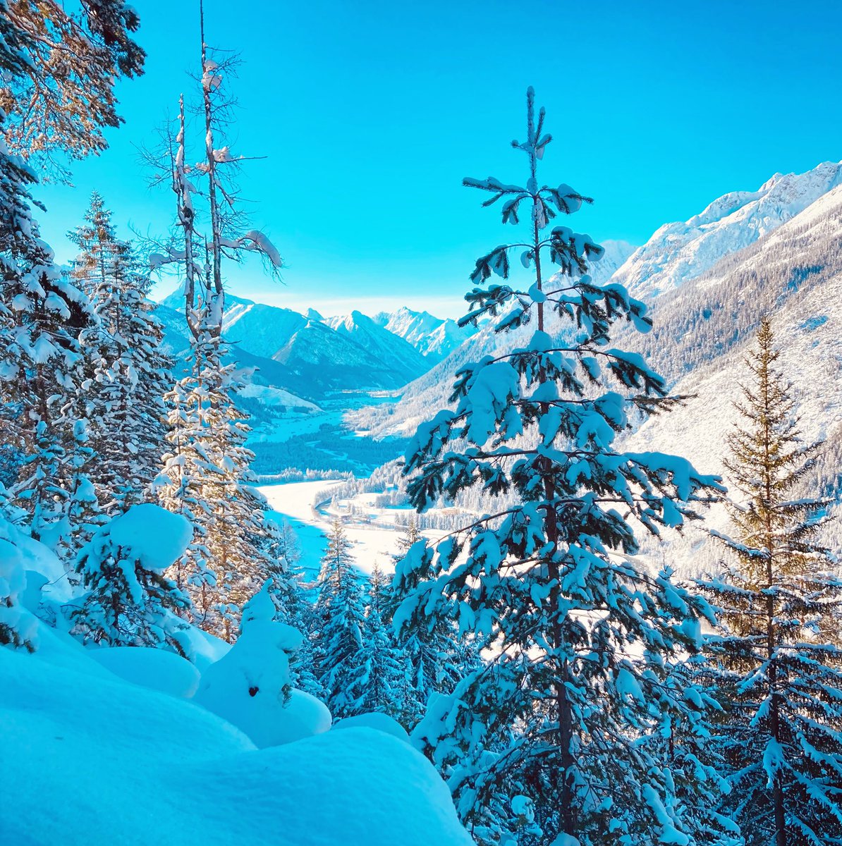 lechtalinfocom's tweet photo. Der Winter ist im Lechtal angekommen❄️🏔🔆

#lechtalinfocom #lechtal https://t.co/6tChqQaH9l