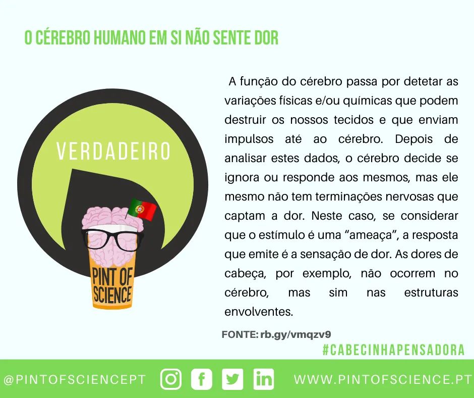 pintofsciencePT's tweet photo. Já dizia Hannibal Lecter (Vê, o cérebro em si não sente dor).
Mas se o cérebro🧠não sente dor, o que causa dores de cabeça
Sabe mais no link:https://t.co/uZut8qPNWQ
#pint22 #pintsworld #pintofscience #pintofscienceportugal #cabecinhapensadora #guarda #brain #pintPT #poligrafo https://t.co/BTa1DWna7P
