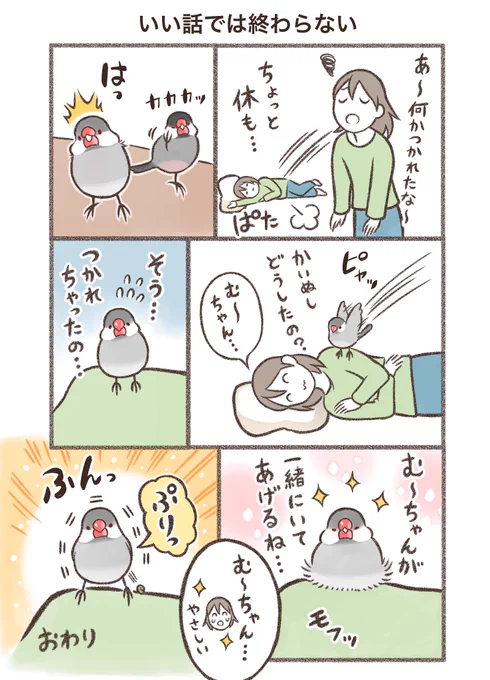鳥野家の小鳥たち
マンガ「いい話では終わらない」

※同人誌収録バージョン

#文鳥 #漫画が読めるハッシュタグ 
