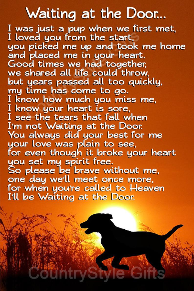 Bada_bing3's tweet photo. @magicalmary2 @trebus_mr 🐶🙏🌹🌈❤️(heart full of love & memories) #RIPRuby🐾 https://t.co/0TBSjslijV