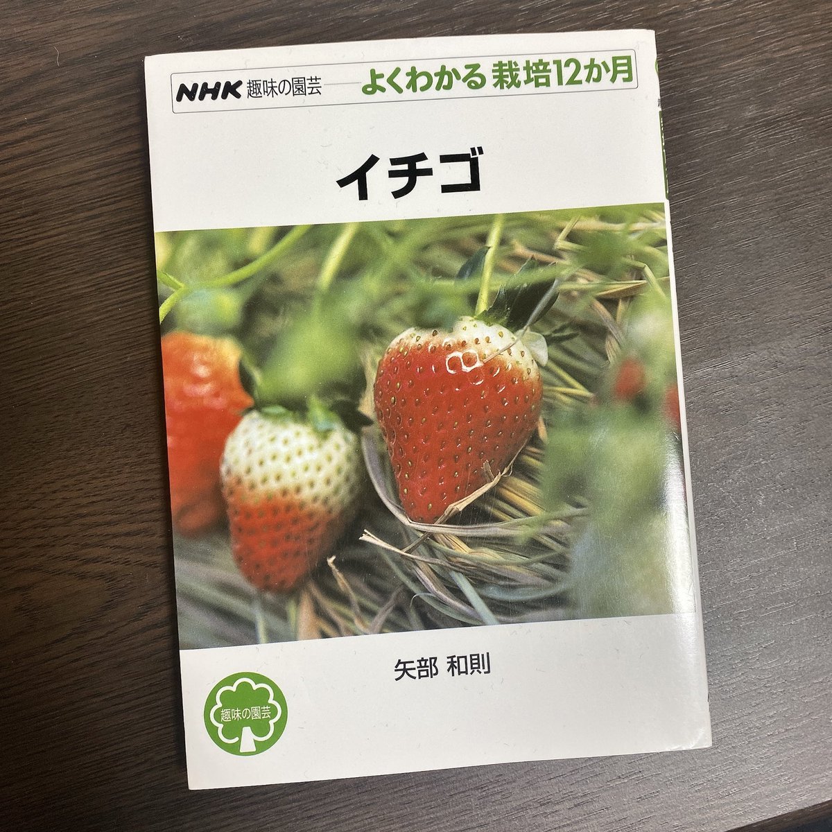 ハルジオン🌼 tweet media