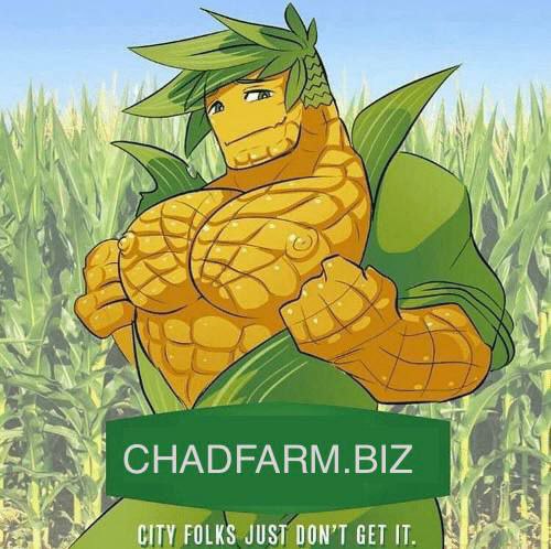CryptoShill3000's tweet photo. #chadfarm
https://t.co/ZFEj8xLyxP https://t.co/LgjndUALyK
