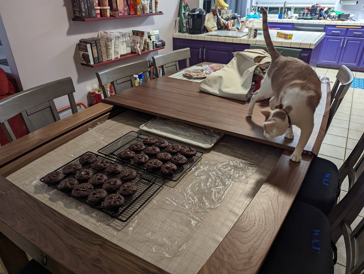 illmakeaaccount's tweet photo. @WyrmwoodGaming Another handy feature of the dropped gaming surface is the ability to keep Christmas treats safe from wandering cats! Also, yes those are floating purpleheart shelves! https://t.co/xd47OjgsvP