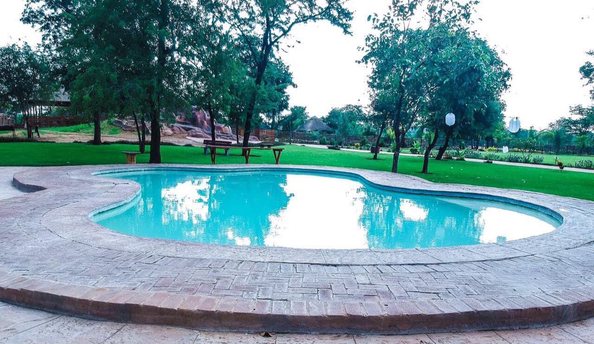 Limpopo Tourism Agency tweet media