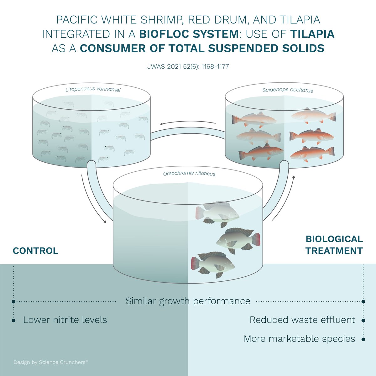 Our Editor’s Choice Award 52(6) goes to Poersch, Brunson, Gaona, Stokes, Richardson, Pitts &amp; Leffler. (2021). Pacific white shrimp, red drum, and tilapia integrated in a biofloc system: Use of tilapia as a consumer of total suspended solids
Available at: doi.org/10.1111/jwas.1…