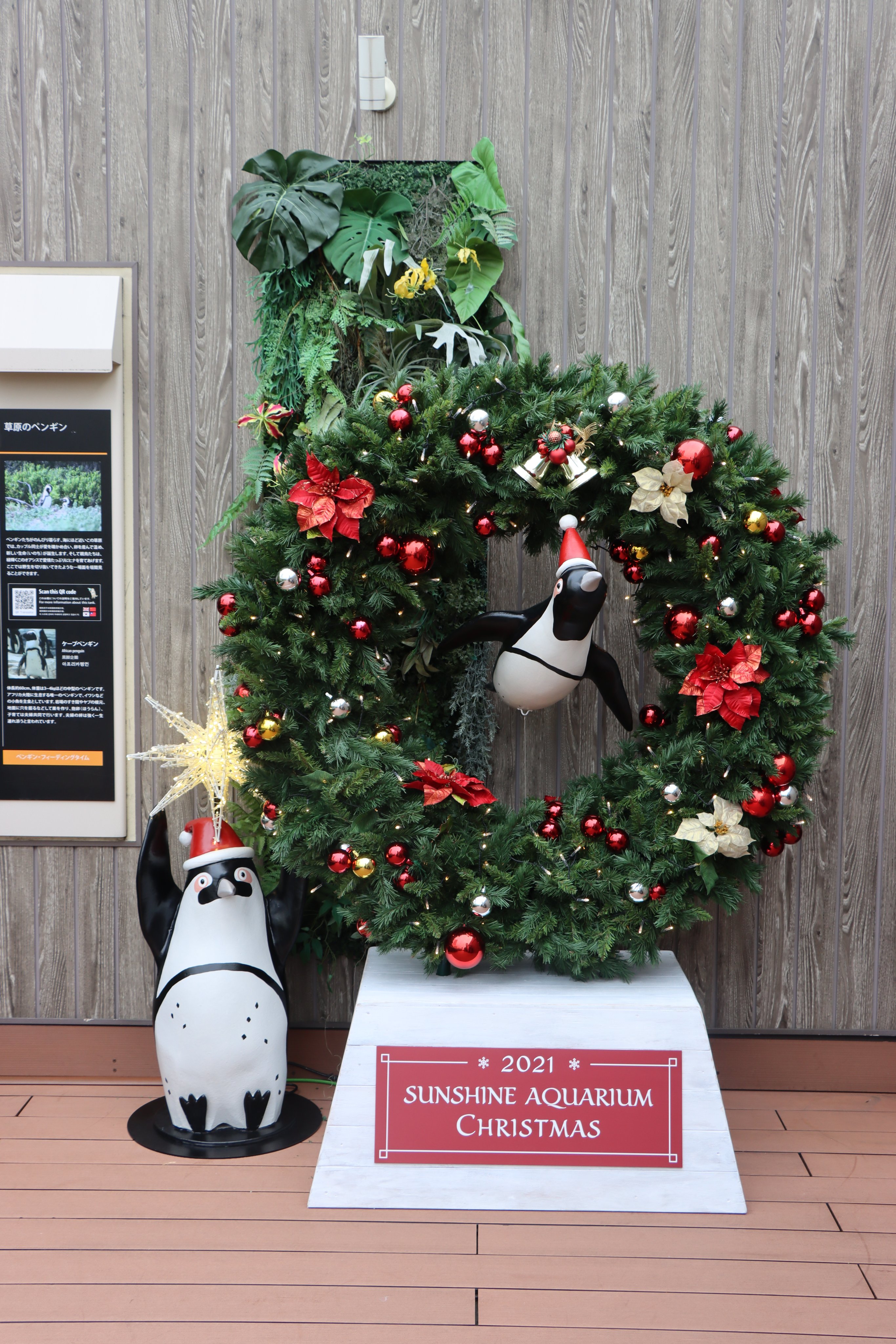 サンシャイン水族館 クリスマスイベント開催中 ペンギンぬいぐるみツリーやそのほか特別装飾も また 12 24 金 26 日 の3日間限定で サンタダイブ と コツメカワウソにクリスマスケーキをプレゼント を実施 出会えたらラッキー 詳細