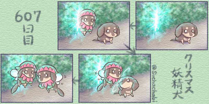 607日目 クリスマス妖精犬 