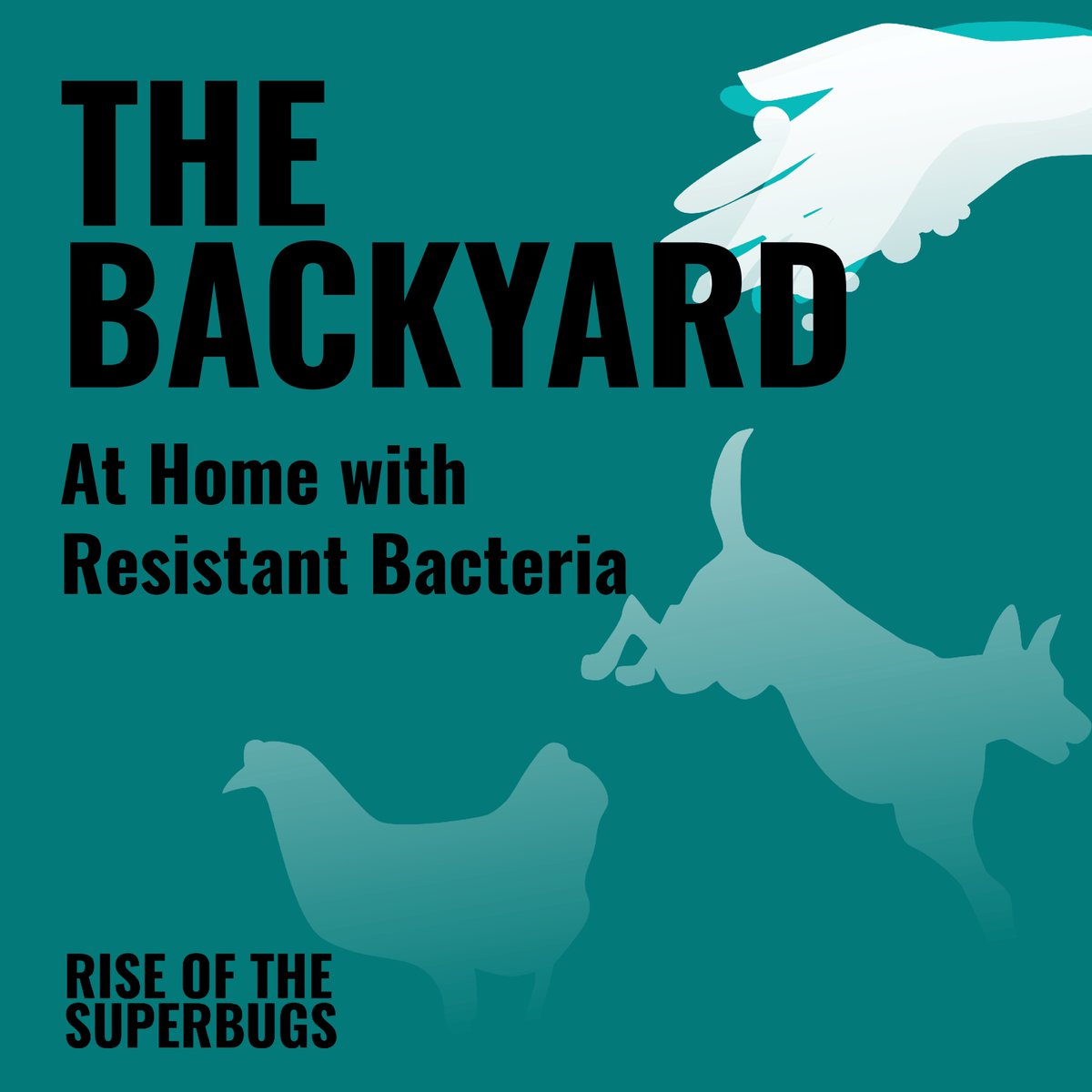 Rise of the Superbugs tweet media