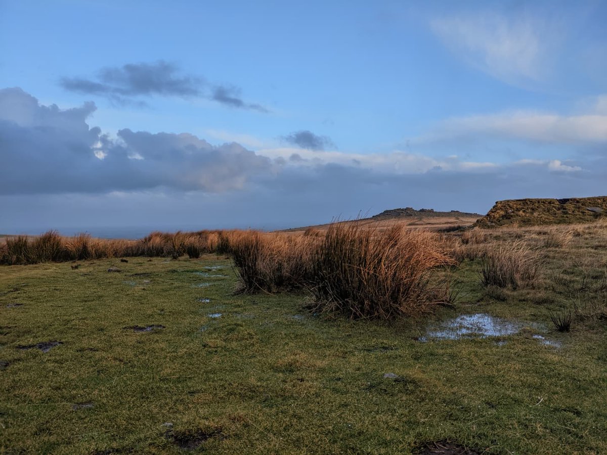 benjj2000's tweet photo. Room with a view.
It's always pretty awesome to wake up somewhere totally different in your tent, especially when it was so dark when you pitched up, you have no idea what you'll be looking out to. Mostly, I was grateful to have avoided pitching in the bog! 

#TheMountainPeople https://t.co/AkKGpG3Zpl