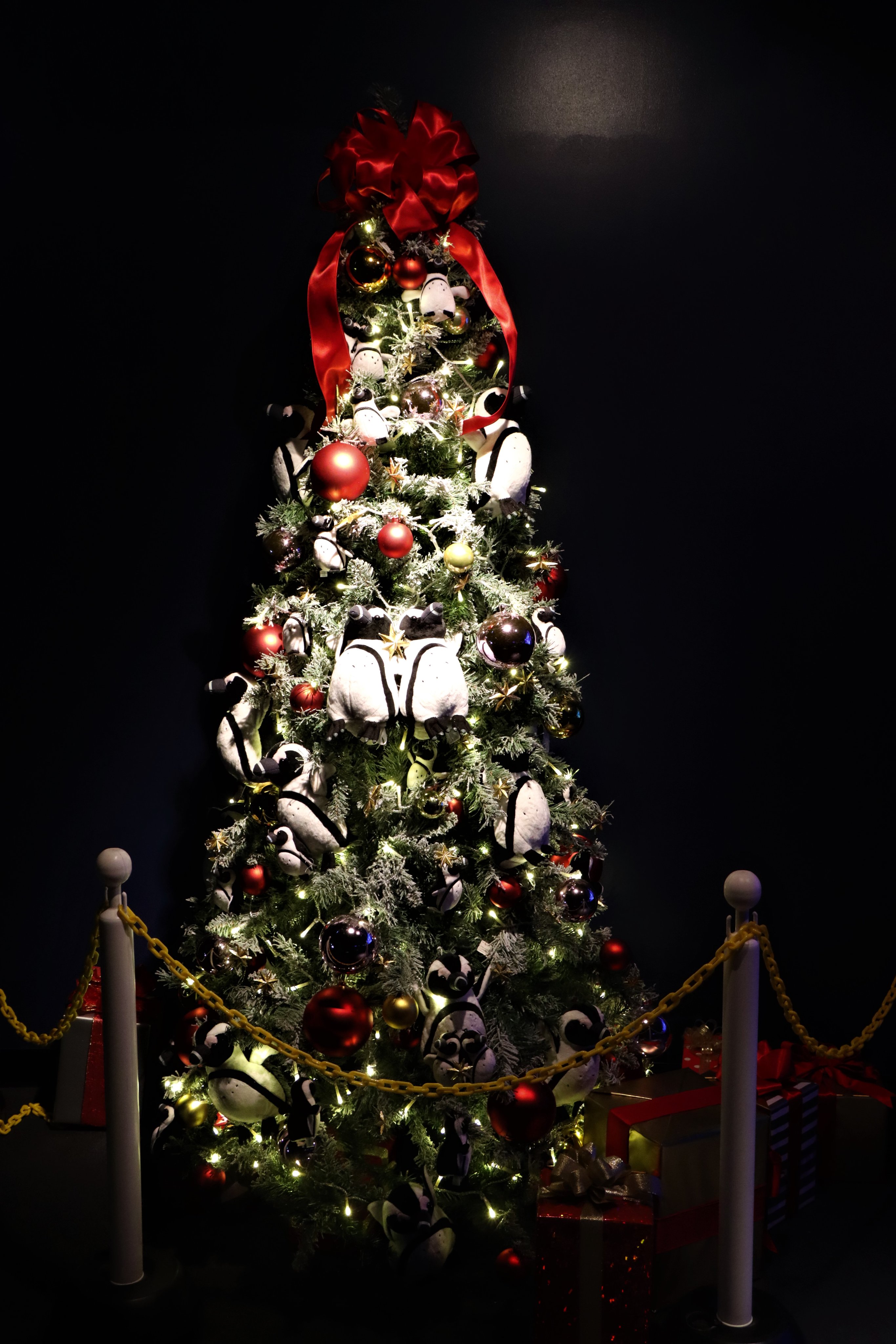 サンシャイン水族館 メリークリスマス 本日はどんな一日を過ごされますか サンシャイン水族館 ではコツメカワウソにクリスマスケーキ をプレゼントしています 皆さまもどうぞ素敵な一日を サンシャイン水族館 メリークリスマス