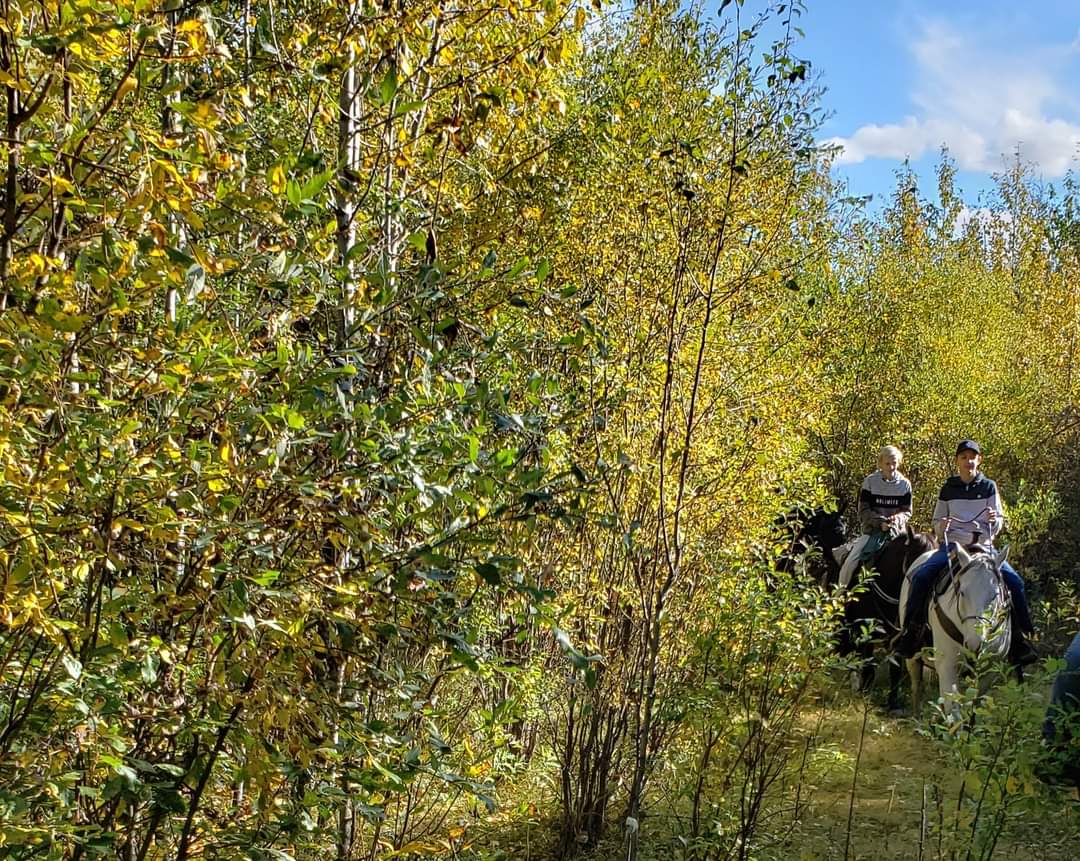HTAFairview's tweet photo. Autumn 🍂🍂, it can be a great time of year to get out and ride the trails, the colors of the leaves are mesmerizing, so beautiful! #lovetheoutdoors https://t.co/f2BAcIff96