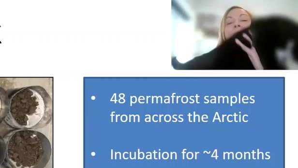 Prof. Riikka Rinnan tweet media