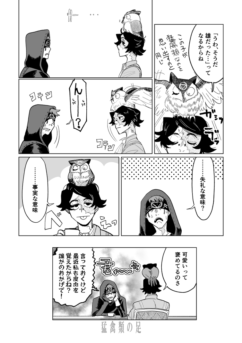 探占 猛禽類の足 