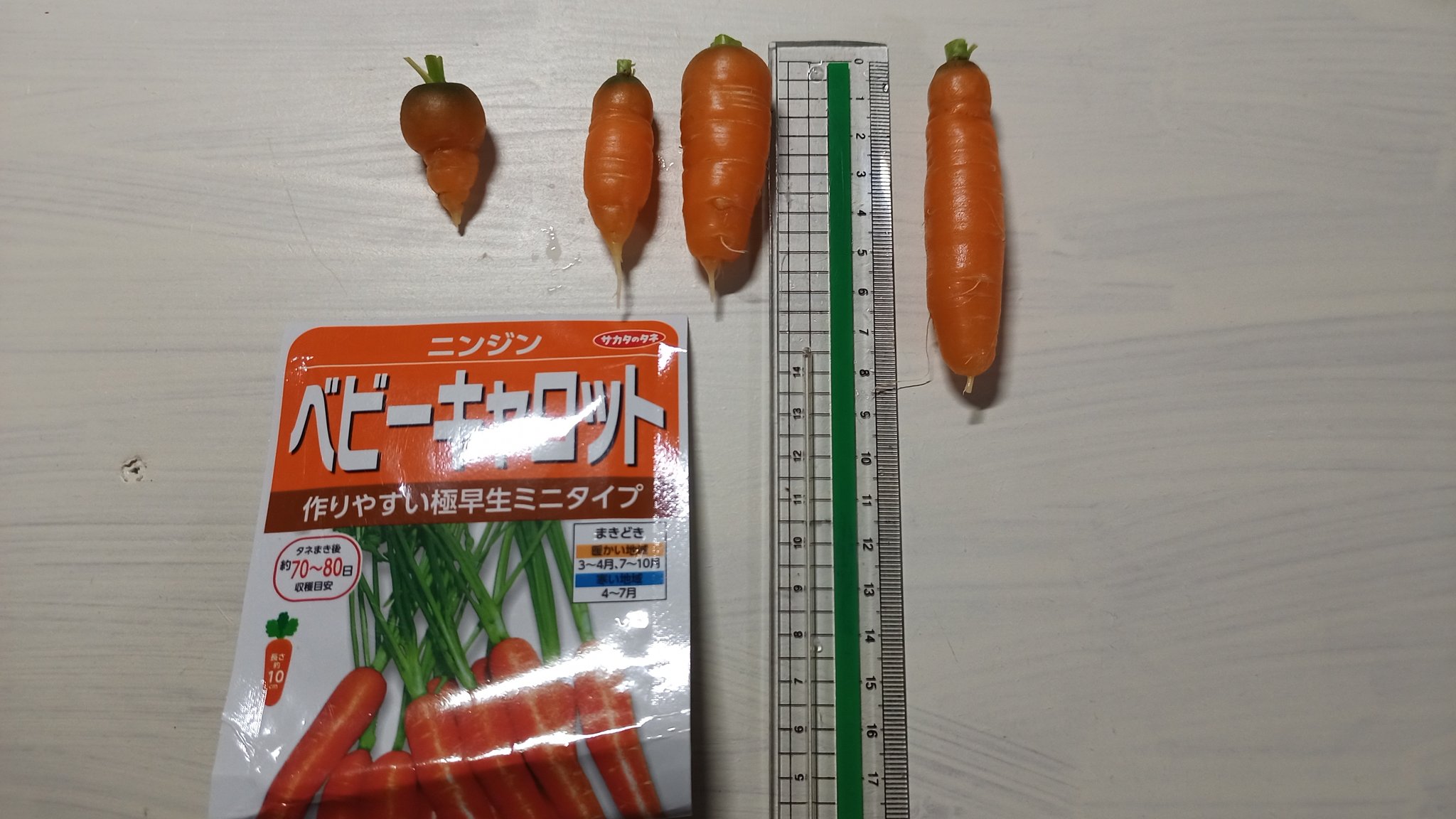 ユウ ベランダ菜園 Yuubauers Twitter