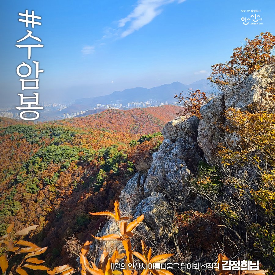 ansancityhall's tweet photo. 가을이 
떠나가기 전

단풍의 아름다움을 
만끽한 하루

부담 없이 
오르기 좋고

걷기만 해도
힐링 되는

이곳은 #수암봉

#안산 #안산시 #안산시청 #安山市 #ANSAN #ANSANCITY #안산시가아름다워 #등산 #안산등산 #힐링 #단풍명소 #수암봉 #11월의안산 #김정희님 https://t.co/TgmNv6nCy4