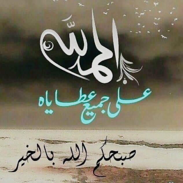 ALSAMER tweet media