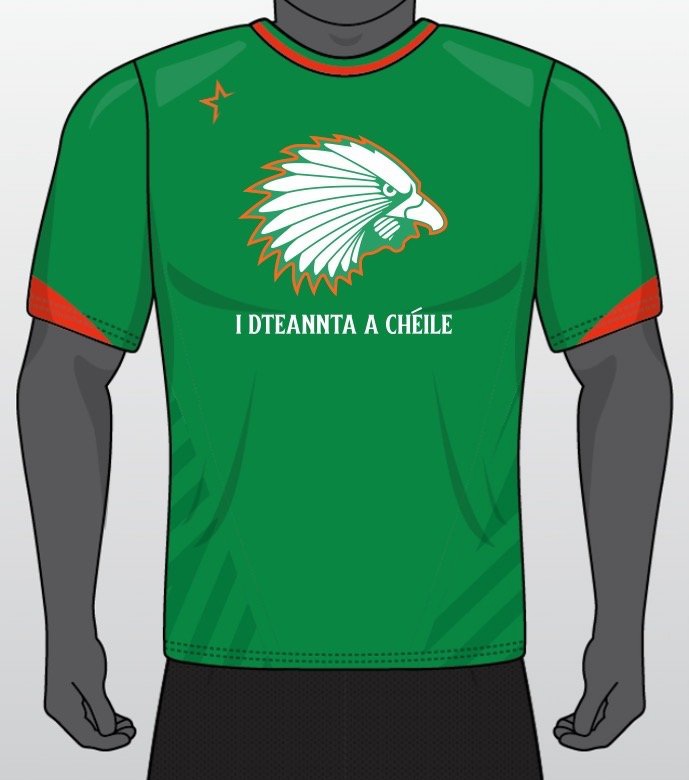 Ireland Lacrosse tweet media