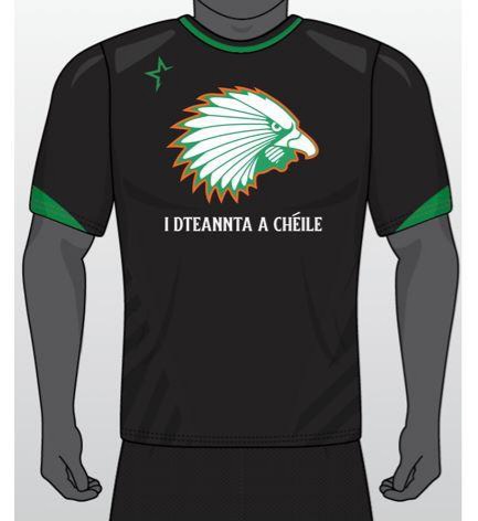 Ireland Lacrosse tweet media