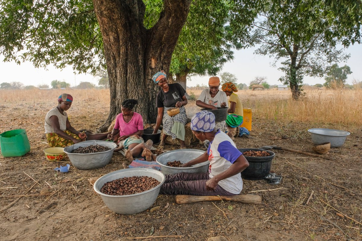 IGAD_CPAC's tweet photo. 📑 The #NDC Partnership 2021 Action report highlights how members are driving #climateaction, raising ambition, and promoting economic recovery. #RICCAMA
More: https://t.co/jfzaF7W1A3
📸 UN https://t.co/CWKIndAawx